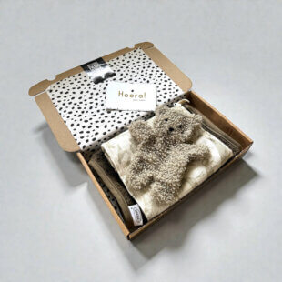 Brievenbus kraamcadeau met slab Forest en speendoekje beertje