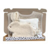 Universeel kraamcadeau Baby Bunny Basics met speendoekje, multidoek en slab