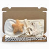 Brievenbuscadeau Buggyboekje Goose met Little Dutch activiteitenboekje en babymutsje