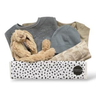 Kraamcadeau jongen Kleine Wereld: cadeaubox met romper, mutsje, slab, knuffel en hydrofieldoek in zachte kleuren.
