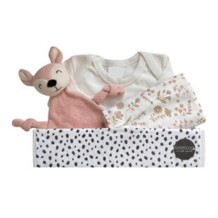 Gepersonaliseerd kraamcadeau meisje holly met naam op romper en speendoekje