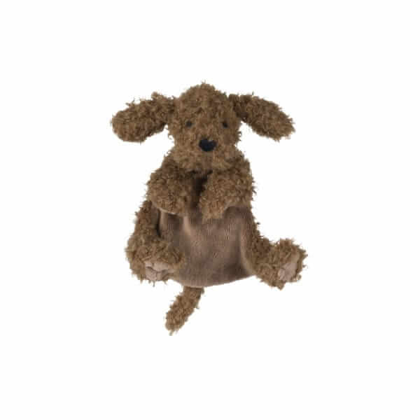 labradoodle-larry