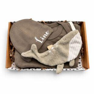 Brievenbuscadeau Jongen Deepsea Whale