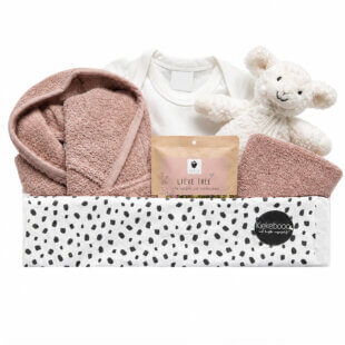 cadeaubox met knuffel voor baby meisje