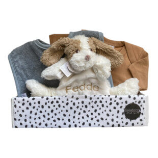 Kraamcadeau Jongen Dog David cadeaubox met romper, slab en knuffel