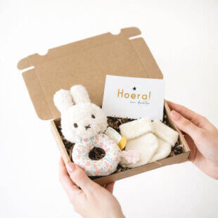 Brievenbus cadeau - Nijntje rammelaar