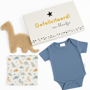 Kraamcadeau Jongen – Dino is het perfecte geschenk voor kleine avonturiers