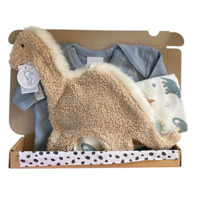Kraamcadeau Jongen - Dino