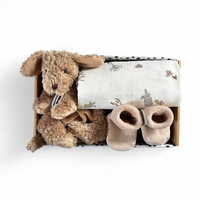 Brievenbuscadeau Dog Brownie stijlvol verpakt met gratis felicitatiekaart