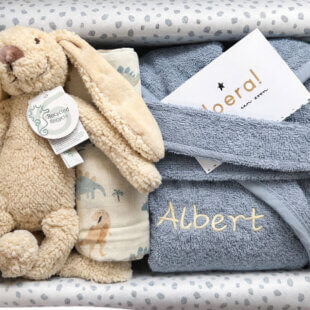 Kraamcadeau Jongen - Roarsome