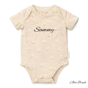 Romper Newborn Naturals in Brievenbus Kraamcadeau Newborn Naturals