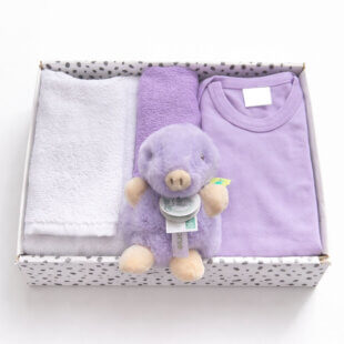 Kraamcadeau meisje Mole Mae in lila met gepersonaliseerde romper en slab