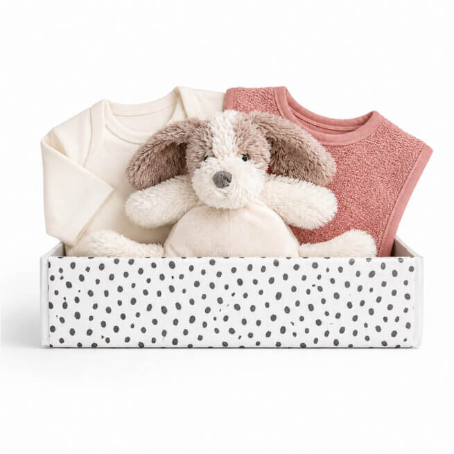 Cadeaubox meisje met knuffel van happy horse dog dakota